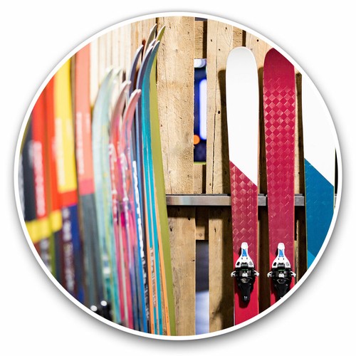 Vinyl stickers 10cm skis - 2, x