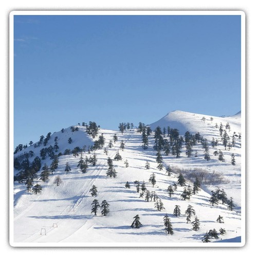 Square stickers cm - stickers,
