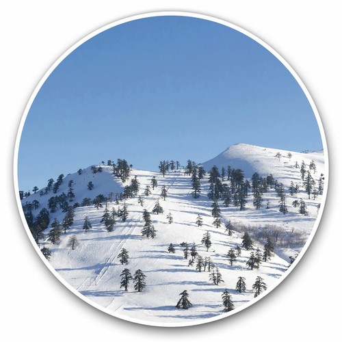 Vinyl stickers 10cm ski - 10cm,