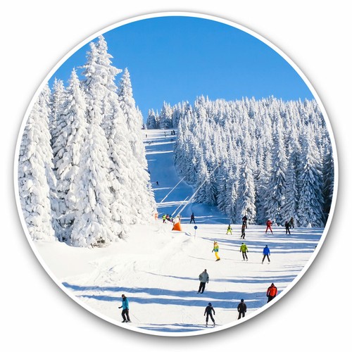 Vinyl stickers 10cm ski - x,